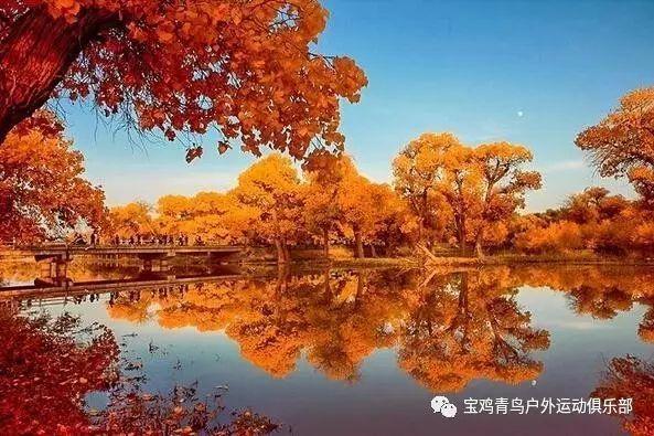 耀享新岁,APM Monaco官宣歌手连淮伟为品牌挚友