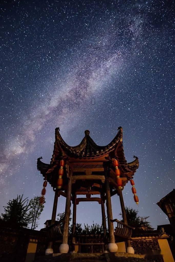 解救可爱的鸭子