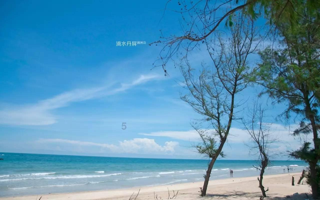 饿狮救援