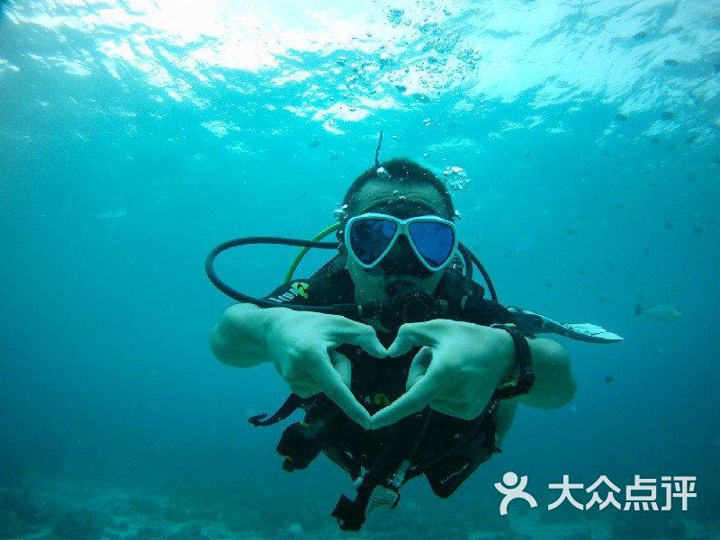 逗小猴开心系列199