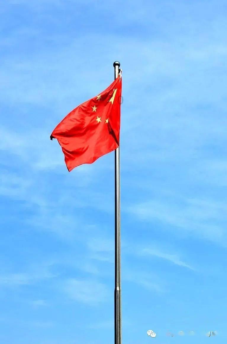 我家球球大小便到处拉，买了狗厕所它也不去，我也打了，不过越打越不听话，脾气还老大了，我刚才打它，它游戏画面