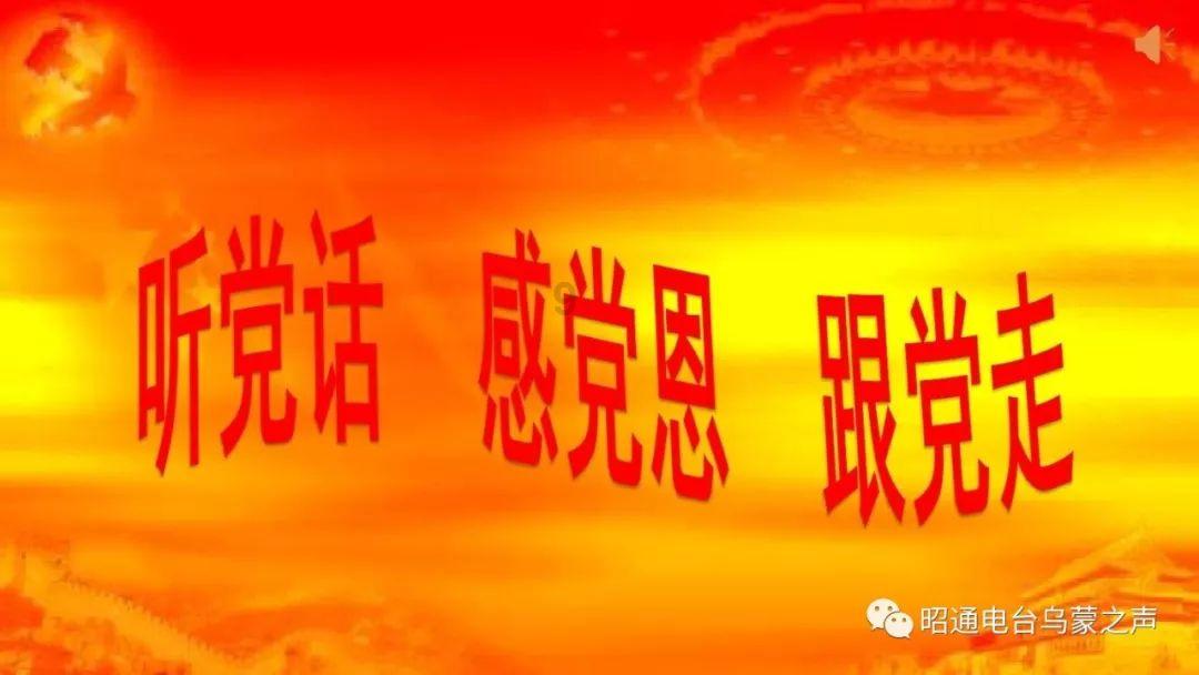 植物大战僵尸16