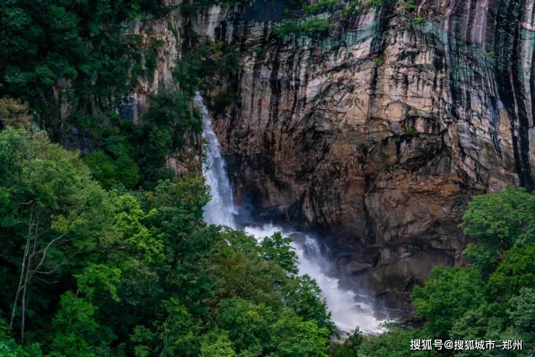 逗小猴开心系列184