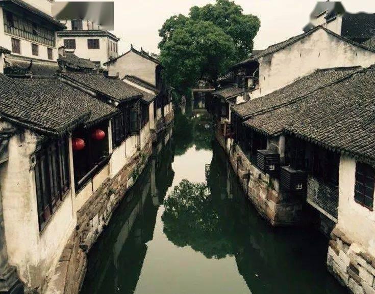 李宪:父皇,是三弟(李隆基)帮您复位的,您立他做太子吧