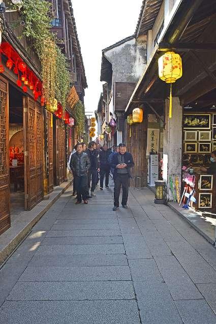 昆明动物园：计划近期将猫移出猴山，随后将对猫开展全面体检