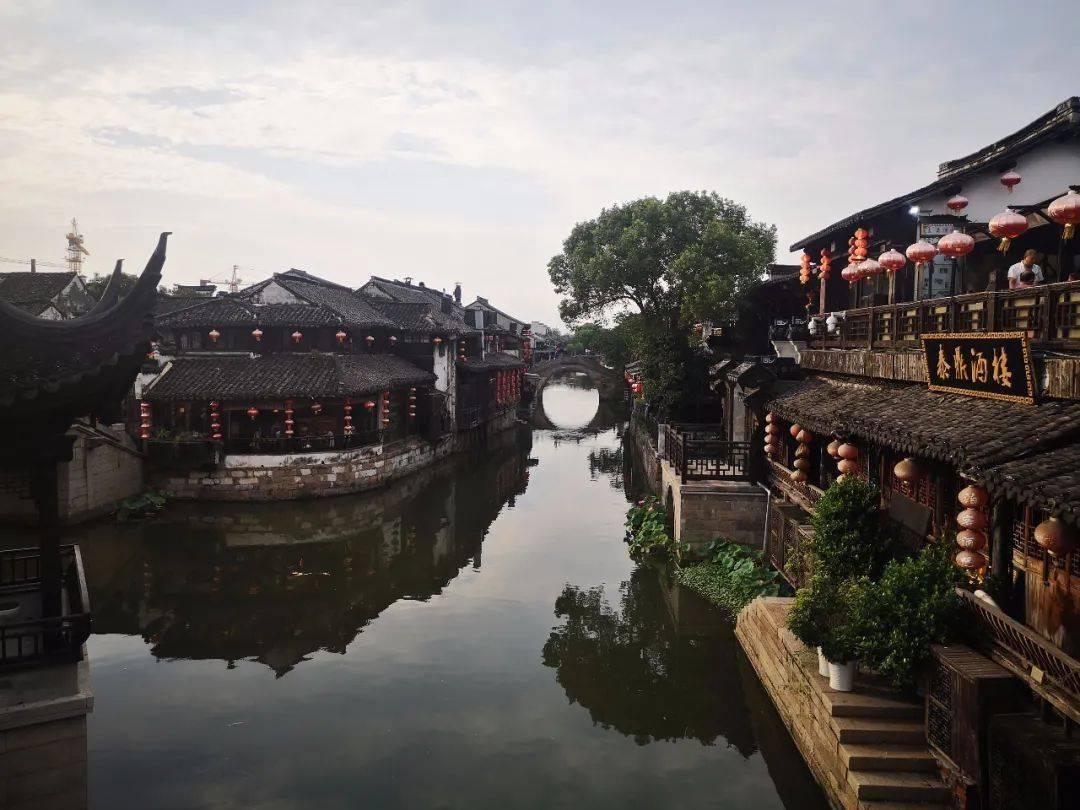 当别人夸我的时候该怎么回复？游戏画面