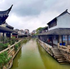拯救精灵的土地10