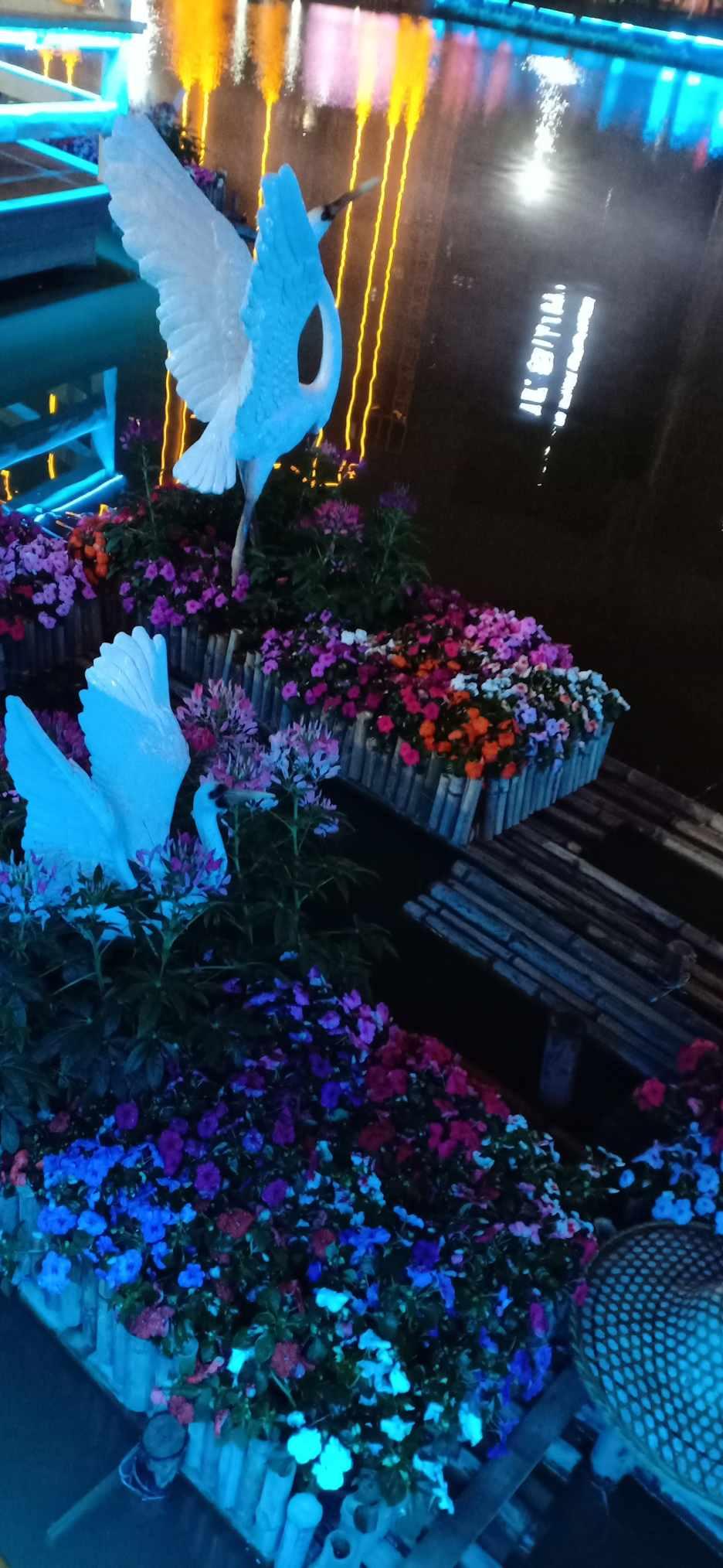 委员履职风采|李灵芝:俯身大地 助农增收
