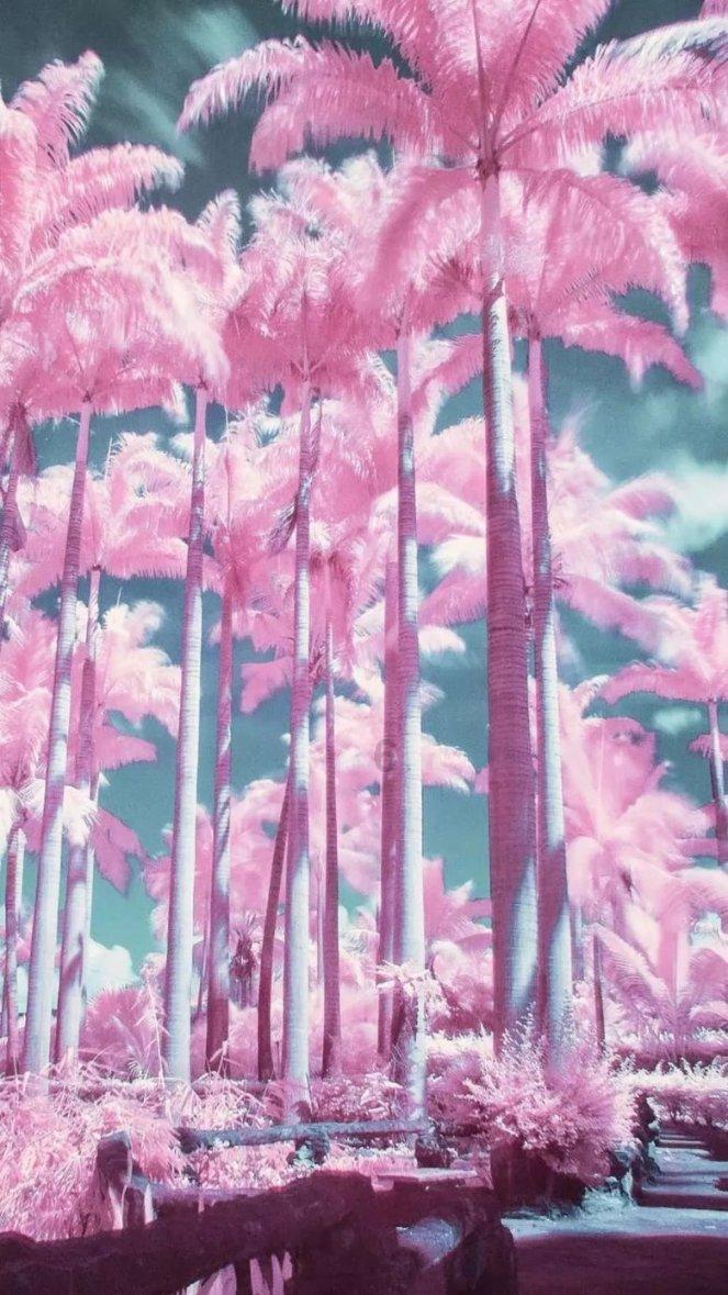 河清海晏